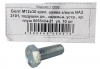 Болт М12*1,25*30 (NF) креп шкива к./вала ВАЗ 2101 20шт